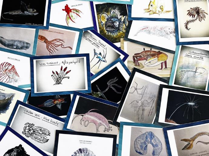 Formation à l'animation Marche Océane 2026